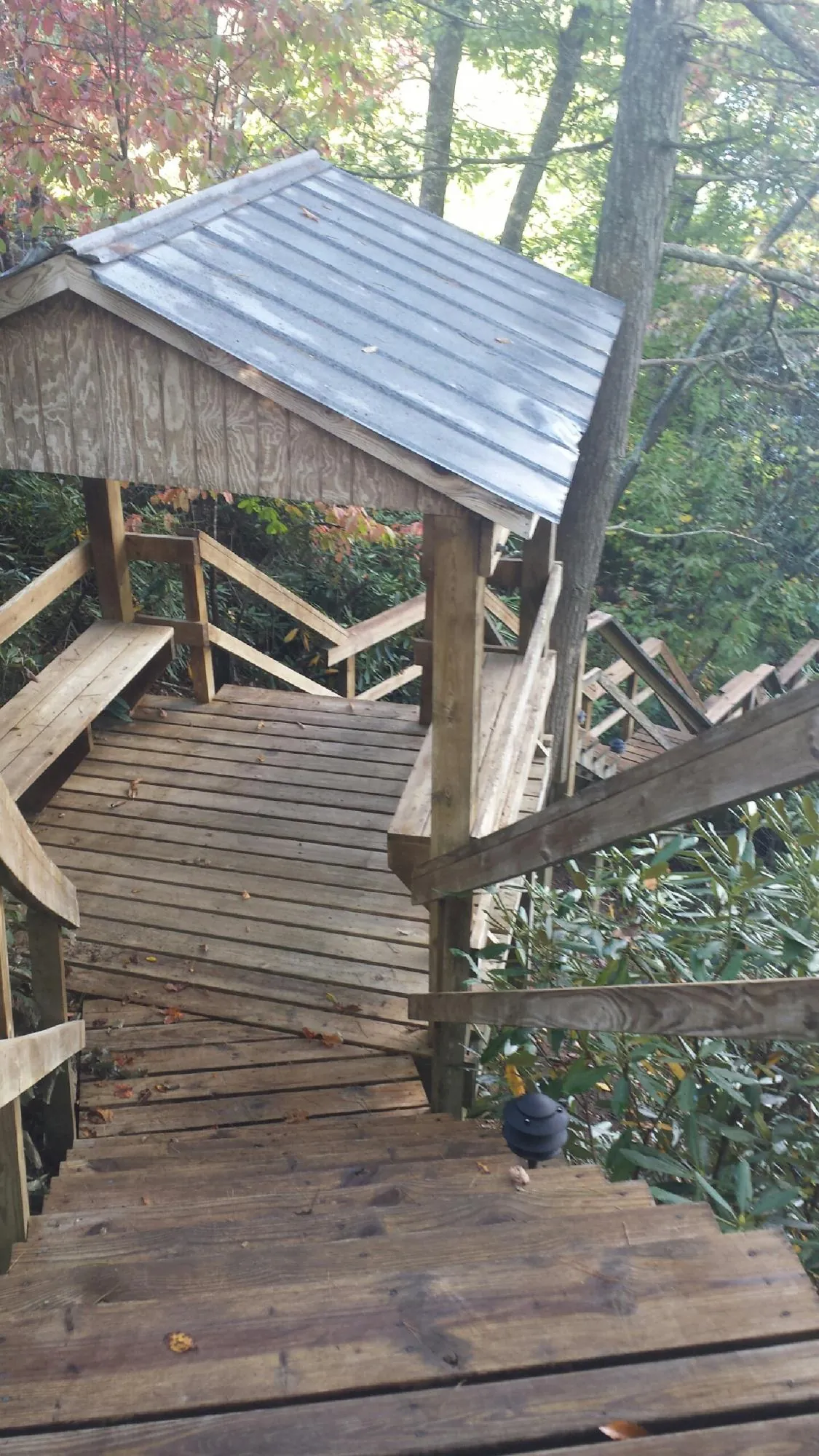 Metal roofed shelter over wooden steps on a wooded walkway — Skylight Repair & Installation work by our crew in Crystal River